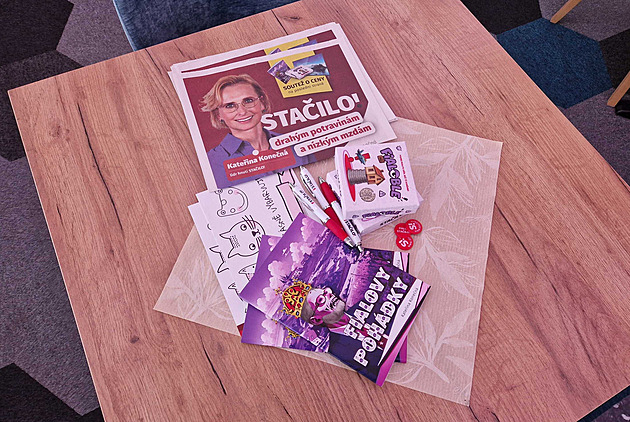 Stačilo! pod pěti procenty. Počkejme ještě chvíli, dostaneme se, věří Zaorálek