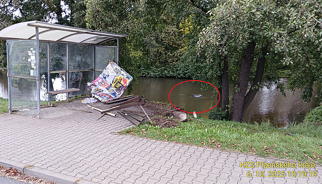 Starí idi projel kolem autobusové zastávky a skonil s autem v rybníce....