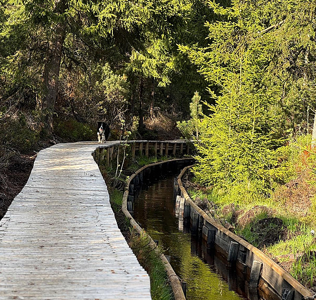 Boží Dar podá ústavní stížnost proti výsledku referenda o území Ryžovny