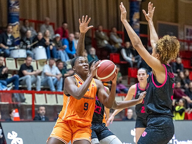 EUROCUP Kadınlar: Çek kulüpleri başlangıçta başarılı olamadı