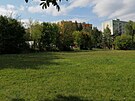 Volnou travnatou plochu na ken ulic Smetanova a Ndran m obsadit...