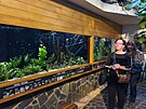 Botanick zahrada v Teplicch m ti nov akvria, kter jsou umstna v...