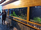 Botanick zahrada v Teplicch m ti nov akvria, kter jsou umstna v...