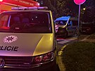 Kriminalist provuj stelbu v prask ulici Pod Lipami. (3. jna 2025)