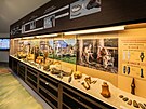 Slavnostn oteven nov expozice v Archeoparku pravku Vestary (2. jna 2025)