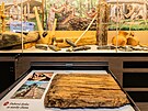 Kamenn nstroje v nov expozici ve Vestarech (2. jna 2025)