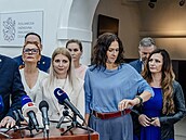 Tisková konference po ustavující sch�zi poslaneckého klubu SPD. (7. �íjna 2025)