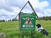 Lokalita Ry�ovna u Bo�ího Daru v Kru�ných horách.  (18. �ervna 2025)