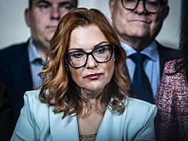 Tisková konference volebního �tábu hnutí SPD v hotelu Don Giovanni. (4. �íjna...