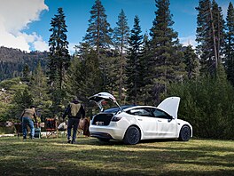 Tesla Model 3 Standard