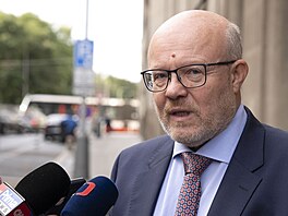 První místop�edseda TOP 09 a ministr zdravotnictví Vlastimil Válek p�ed...