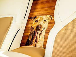 Zá�í bylo v autobran�i nabité zajímavými událostmi. Milovaný pes �dostal�...