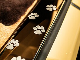 Ka�dý detail vozu je inspirován psem Baileym. Lak karoserie má duhový...