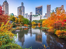 Unikátní podzimní atmosféra v Central Parku v New Yorku.