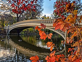 Unikátní podzimní atmosféra v Central Parku v New Yorku.