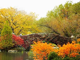 Unikátní podzimní atmosféra v Central Parku v New Yorku.