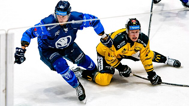 Strnad'ın direktifi Pilsen'in Litvínov'u kazanmasına yardımcı oldu