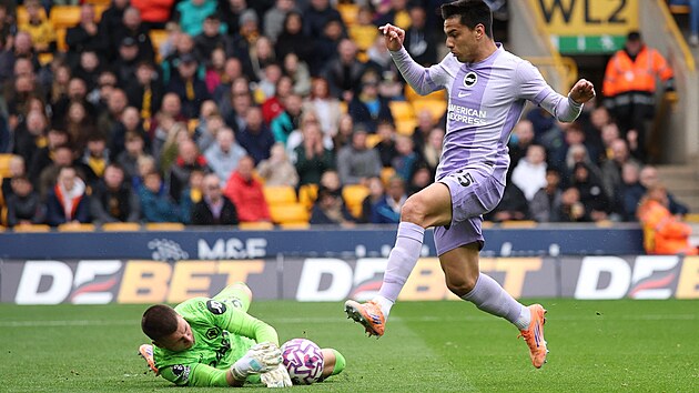 Brank Sam Johnstone z Wolverhamptonu zasahuje ped Diegem Gomezem z Brightonu.