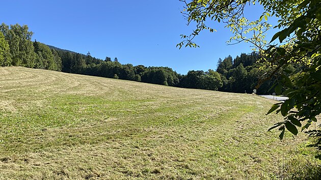 Vykoupen pozemky v ernm Dole