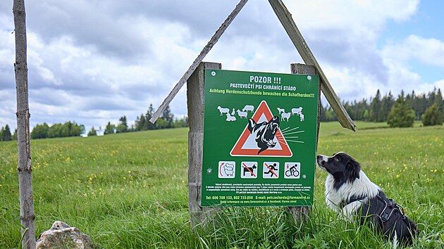 Lokalita Ry�ovna u Bo�ího Daru v Kru�ných horách.  (18. �ervna 2025)