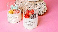 Svíka Oáza nhy, cena 559 K