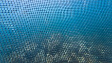 Podmoská ochranná sí proti ralokm.