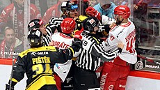 Tinetí hokejisté Tomá Kundrátek a Daniel Kurovský se pustili do...