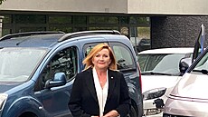 Alena Schillerová pijela do tábu ANO v kampaovém aut s nápisem esko na...