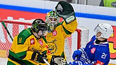 Branká Roope Taponen z Ilves Tampere má puk pi utkání s Kometou bezpen ve...