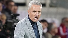 Olomoucký trenér Tomá Janotka v utkání s Fiorentinou.