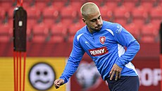 Ondej Lingr na tréninku fotbalové reprezentace.