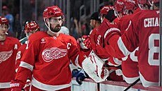 Kapitán Detroitu Dylan Larkin slaví svou trefu v pípravném utkání proti...