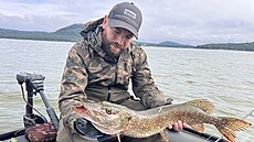 tika chycená v píbhu