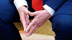 Americký prezident Donald Trump a finský prezident Alexander Stubb se setkali v...