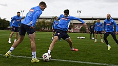 Ladislav Krejí bhem tréninku reprezentace ped kvalifikaním zápasem s...
