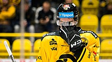 Litvínov, 3. 10. 2025. Verva Litvínov - koda Plze, hokejová extraliga. Domácí...