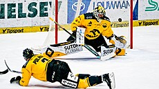 Litvínov, 3. 10. 2025. Verva Litvínov - �koda Plze�, hokejová extraliga. Domácí...