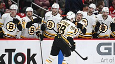 David Pastrák (88) slaví gól se spoluhrái z Boston Bruins.