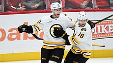 Elias Lindholm (28) a Pavel Zacha (18) oslavují gól Boston Bruins.