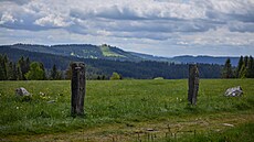 Lokalita Ry�ovna u Bo�ího Daru v Kru�ných horách. (18. �ervna 2025)