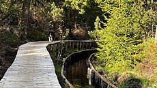 Blatenský p�íkop nedaleko Rý�ovny. Za�íná u Bo�ího Daru a kon�í  v Horní...