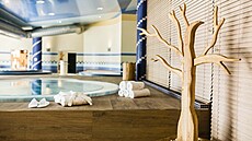 Amenity Hotel & Resort Lipno