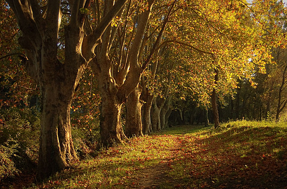 Jaké teplotní rekordy pinesl jedenáctý msíc v minulosti?