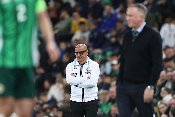 Kou slovenských fotbalist Francesco Calzona bhem zápasu se Severním Irskem.