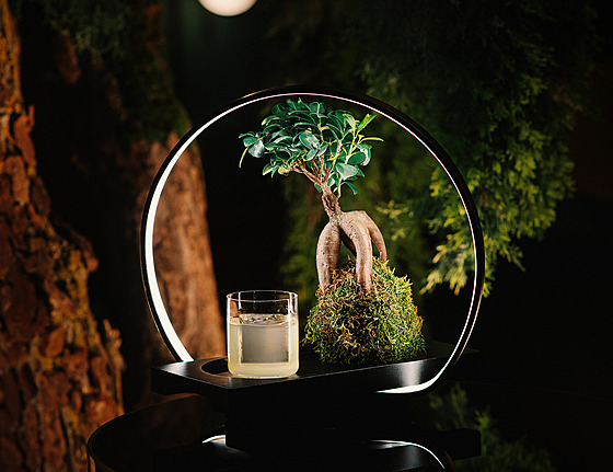 Lux patí mezi nejoblíbenjí cocktaily Mirror Baru. Hosty láká nejen svým...