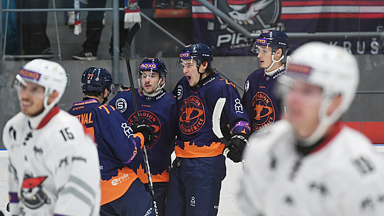 Hokejisté Litomic se radují z gólu proti Chomutovu.