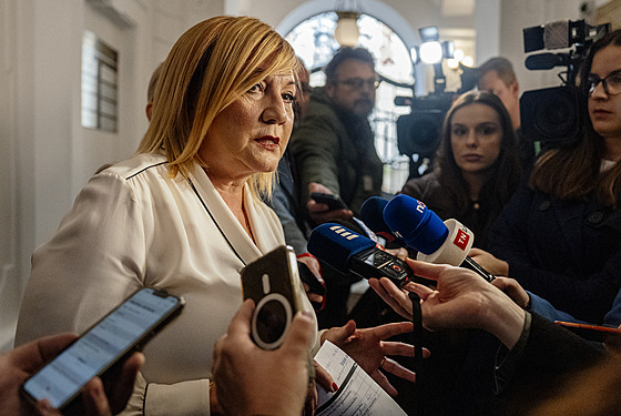 Alena Schillerová (ANO) po jednání s lídry opoziních stran o jejich zastoupení...