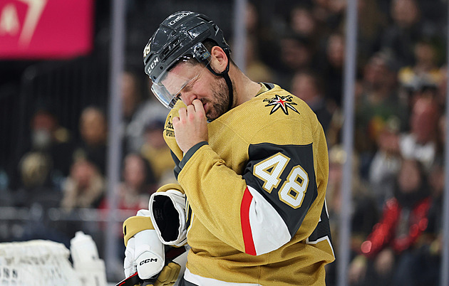 Na olympiádu pro medaili. Hertl přemýšlí odvážně, ale sám ví, že musí zůstat zdravý