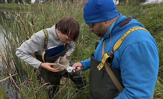 Ve vypuštěném rybníku přežije invazní sumeček 14 dní. Vědci na ně zkoušejí pasti