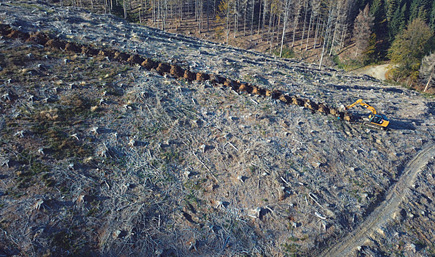 Bagr pi revitalizaci nepouívaných lesních cest v Beskydech v lokalit po...